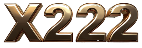 x222 logo